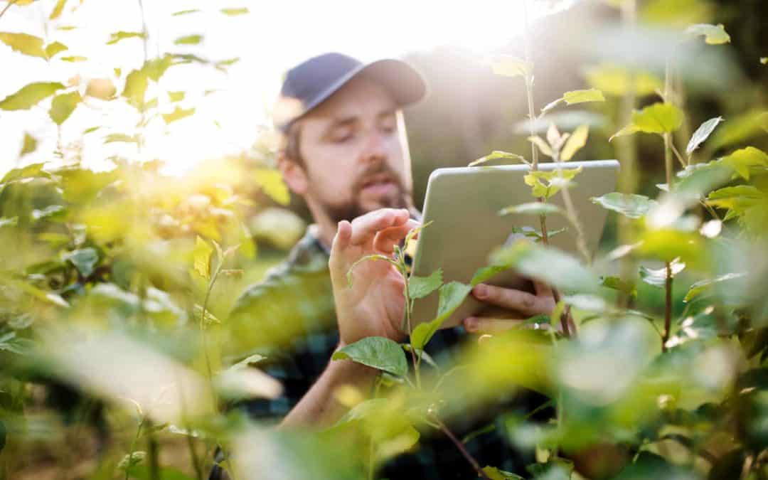 How can Internet connectivity help farmers?