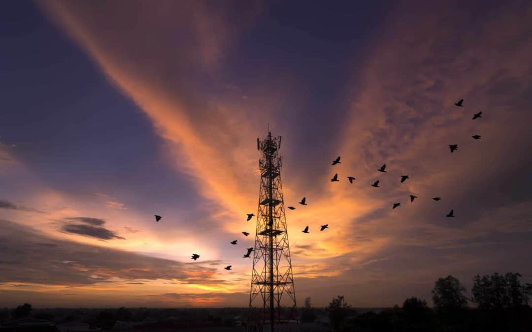 unWired Broadband launches tower in Earlimart